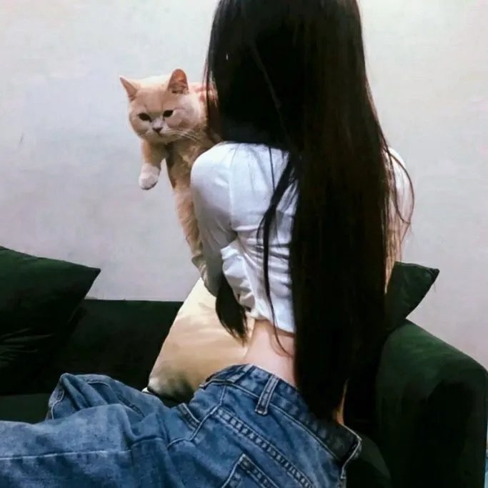 母牛总动员
